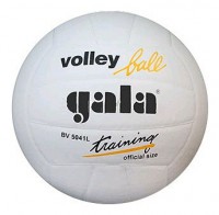 Gala Training BV 5041 L - ������-����� / ���������� ������ � ��������� ����� � � �������, �����������, ������������ � �������� �������� ����������� ������������, ����������, ����, ���������� �������� �������