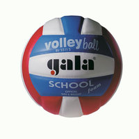 ��� ������������ Gala School Foam Color BV 5511S - ������-����� / ���������� ������ � ��������� ����� � � �������, �����������, ������������ � �������� �������� ����������� ������������, ����������, ����, ���������� �������� �������